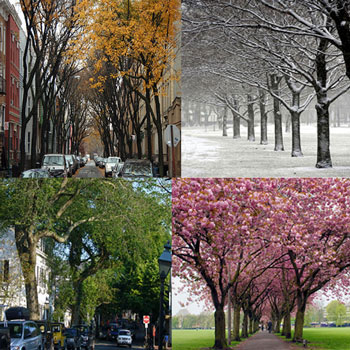 Four seasons